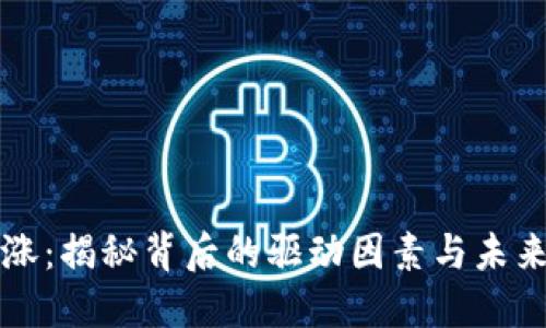 虚拟币暴涨：揭秘背后的驱动因素与未来发展趋势
