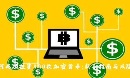 : 如何成功投资800枚加密货币:新手指南与风险分析