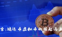 深入探索：鸿运币虚拟币的崛起与未来发展