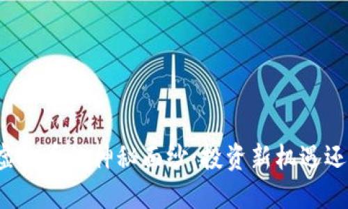 揭开福建炒虚拟币的神秘面纱:投资新机遇还是风险重重?