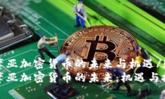 疑问萨摩亚加密货币的未来与机遇/疑问 探索萨