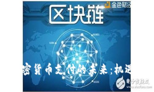 美国加密货币支付的未来:机遇与挑战