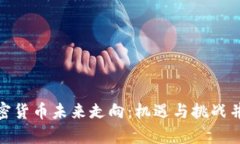 加密货币未来走向：机遇与挑战并存