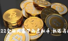  2022金融风暴下的虚拟币：机遇与挑战