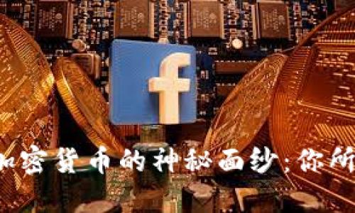  揭开中国合法加密货币的神秘面纱：你所需要知道的一切