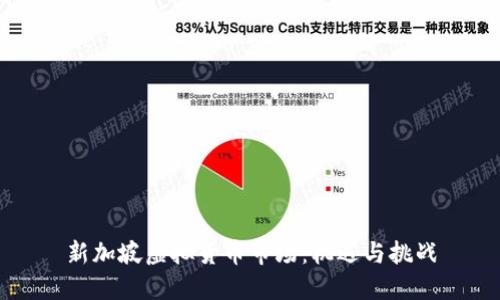 新加坡虚拟货币市场：机遇与挑战