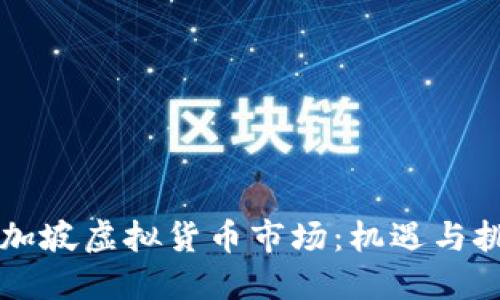 新加坡虚拟货币市场：机遇与挑战