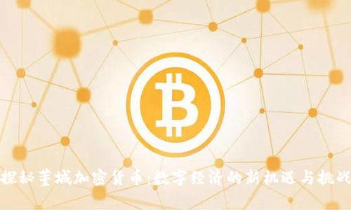 探秘藁城加密货币:数字经济的新机遇与挑战