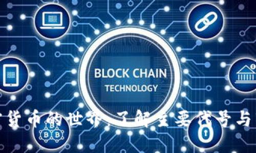 进入加密货币的世界:了解主要代号与市场价值