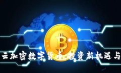 探秘阿里云加密数字货币：投资新机遇与安全保