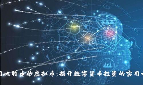 利用比特币炒虚拟币：揭开数字货币投资的实用之道