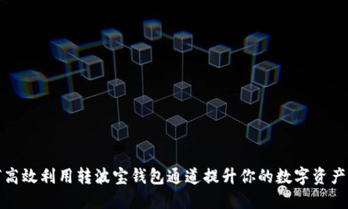 如何高效利用转波宝钱包通道提升你的数字资产管理