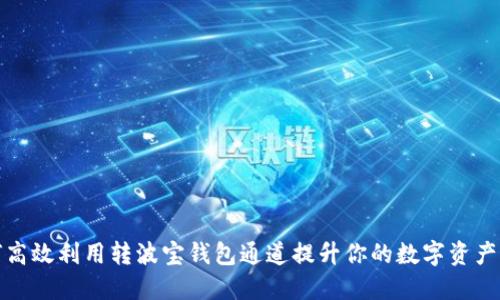 如何高效利用转波宝钱包通道提升你的数字资产管理