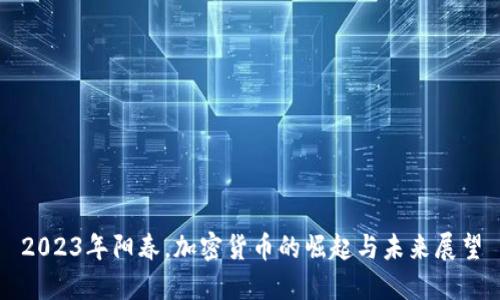 2023年阳春，加密货币的崛起与未来展望
