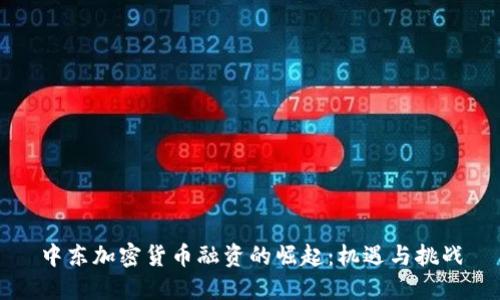 中东加密货币融资的崛起:机遇与挑战