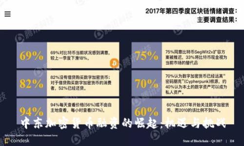 中东加密货币融资的崛起:机遇与挑战