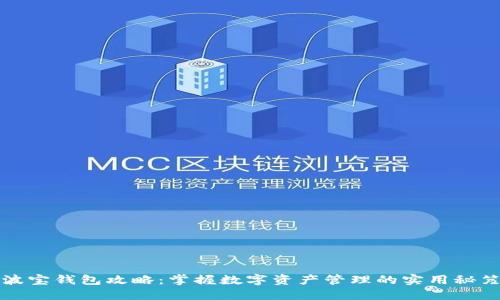 波宝钱包攻略:掌握数字资产管理的实用秘笈