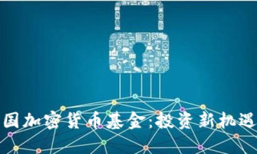 深入了解中国加密货币基金:投资新机遇与潜在风险