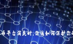 当虚拟币平台消失时，你该如何保护你的资产？