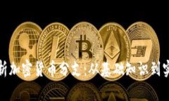 全面解析加密货币分支：从基础知识到实用技巧