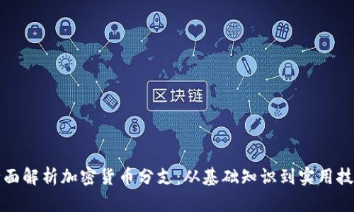 全面解析加密货币分支：从基础知识到实用技巧