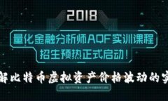 深入了解比特币虚拟资产价格波动的实用价值