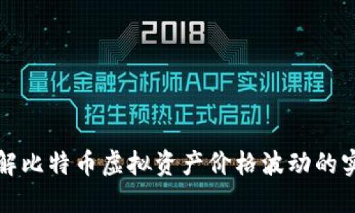 深入了解比特币虚拟资产价格波动的实用价值