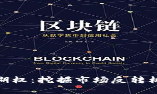 加密货币看空期权：挖掘市场反转机会的实用宝典