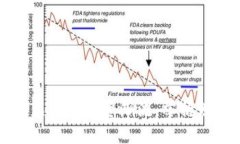 高盛如何引领虚拟币投资潮流，掌握财富增值新