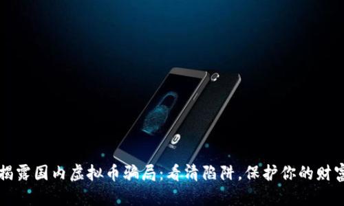  揭露国内虚拟币骗局：看清陷阱，保护你的财富！