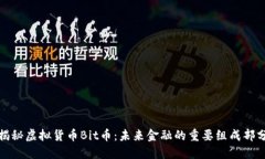 揭秘虚拟货币Bit币：未来金融的重要组成部分