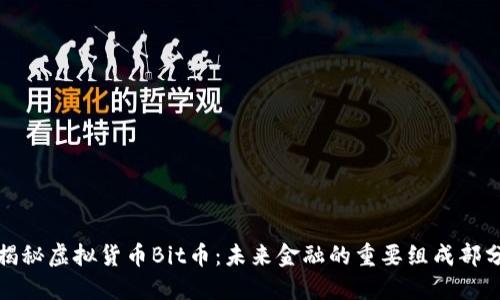 揭秘虚拟货币Bit币：未来金融的重要组成部分