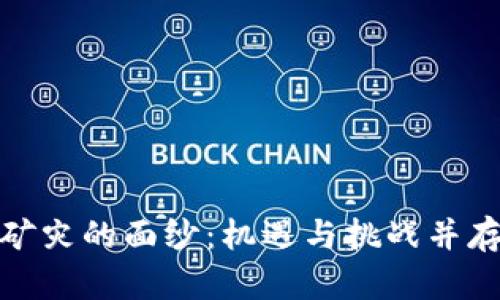 揭开虚拟币矿灾的面纱：机遇与挑战并存的产业探讨