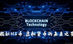 揭秘MS币：虚拟货币的未来之星