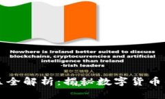 虚拟币主区全解析：揭秘数字货币的核心生态