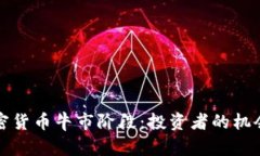 解密加密货币牛市阶段：投资者的机会与挑战