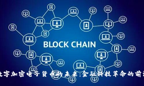 数字加密电子货币的未来：金融科技革命的前沿