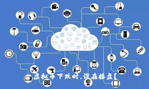 虚拟币下跌时，谁在接盘？