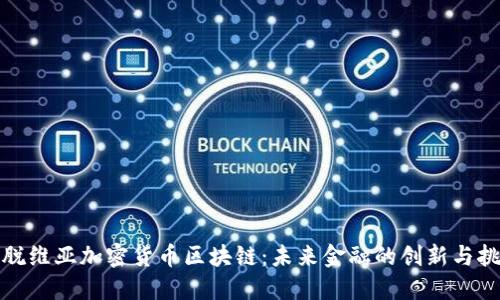 拉脱维亚加密货币区块链：未来金融的创新与挑战