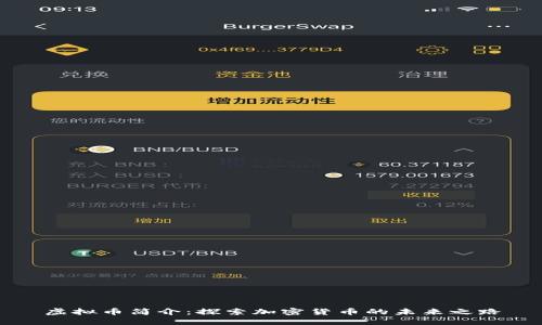 虚拟币简介：探索加密货币的未来之路